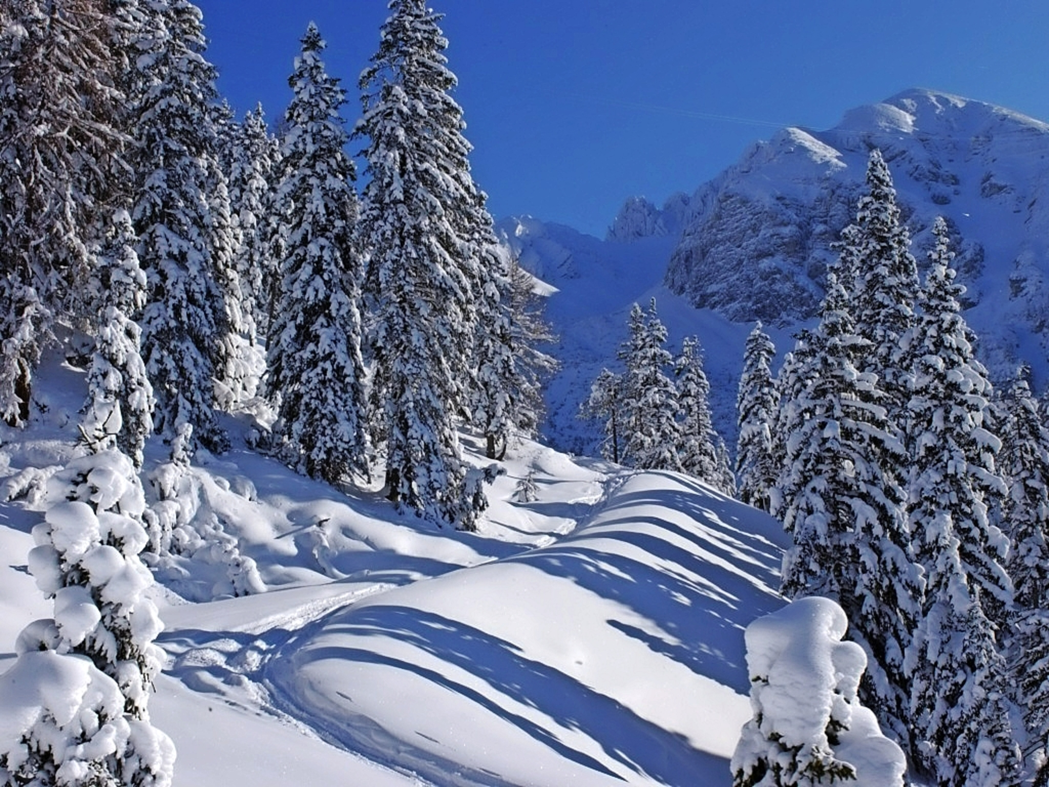 Winterlandschaft Rosshütte, Seefeld Bild