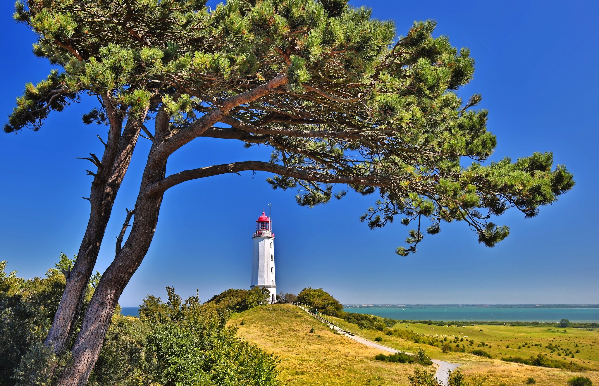 Autofreie Insel Hiddensee Bild