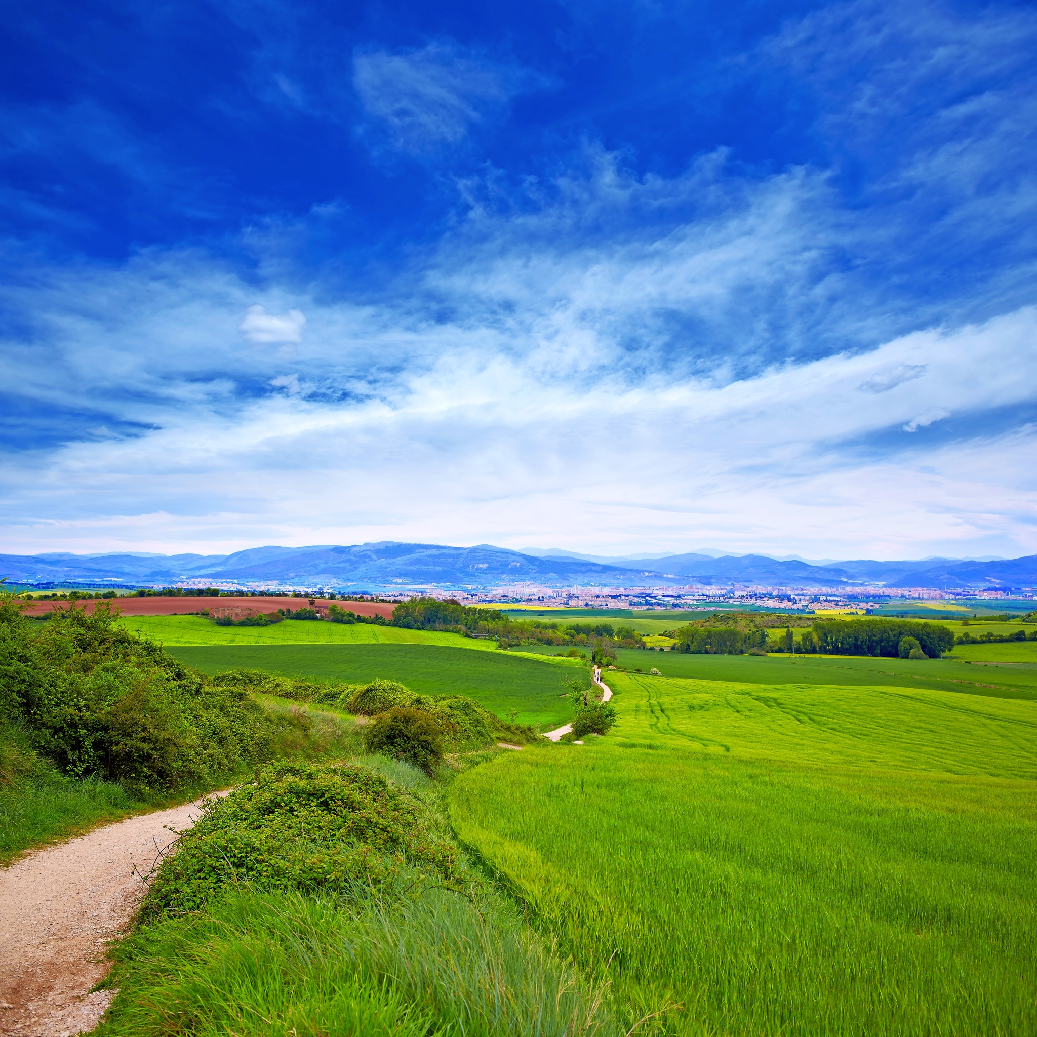 Camino Francés Bild
