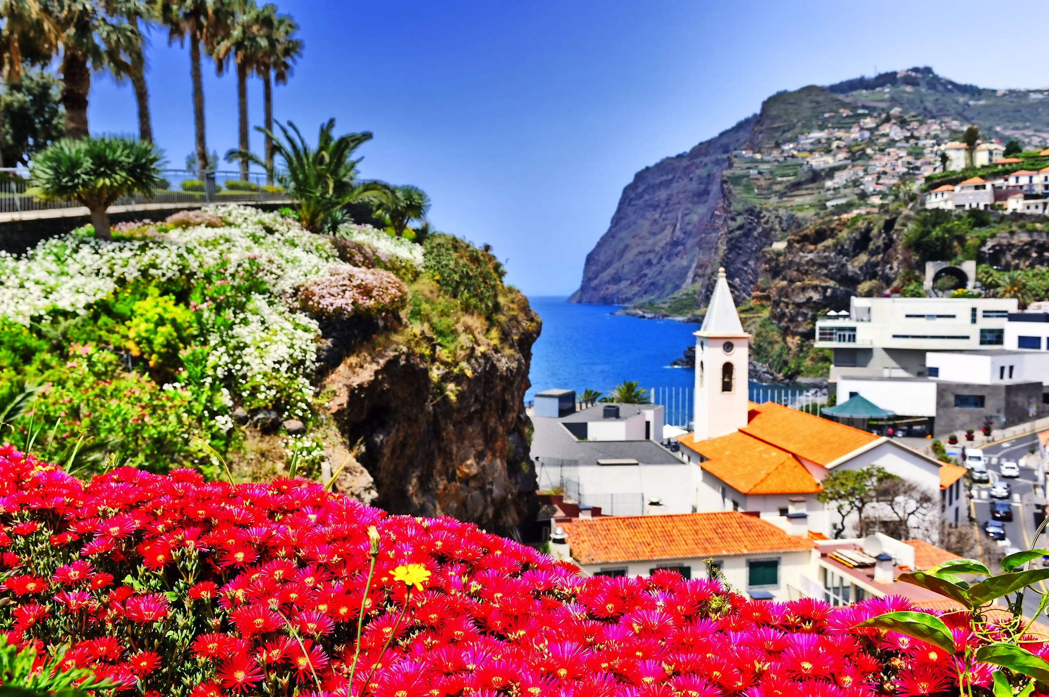 Küstenlandschaft mit Blumen, Palmen, Gebäuden und steilen Klippen am Meer.