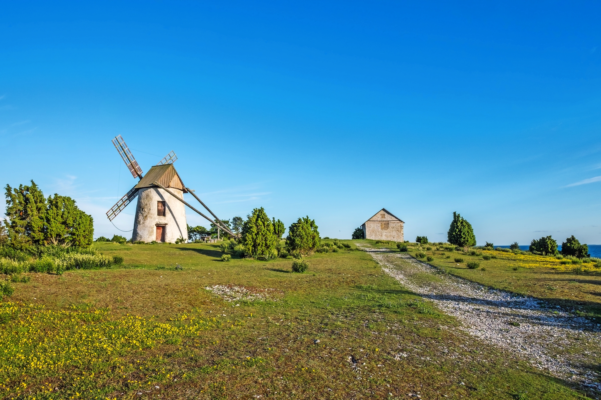Alte Windmühle auf Gotland in Schweden Bild