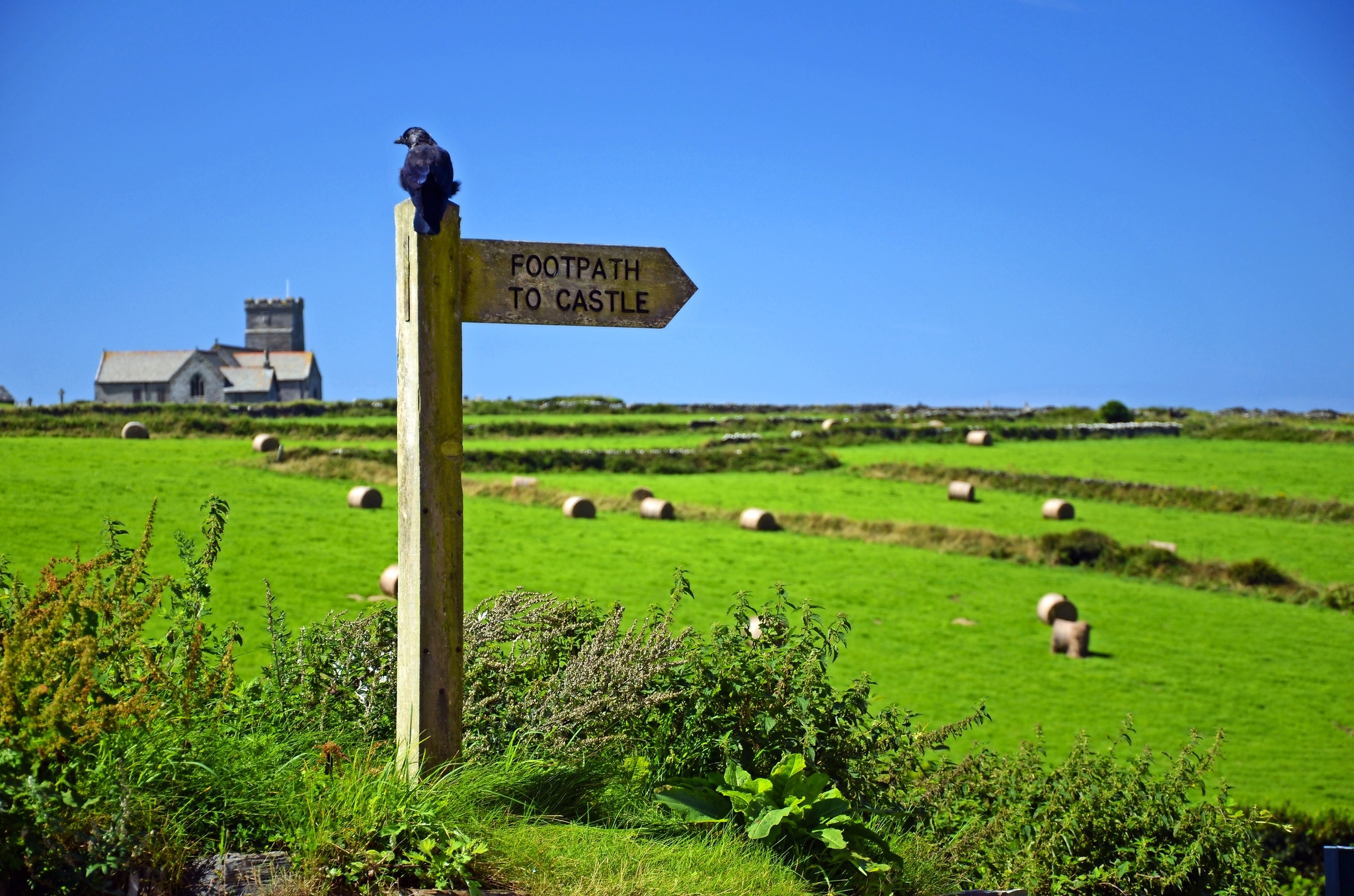 Fussweg nach Tintagel Bild