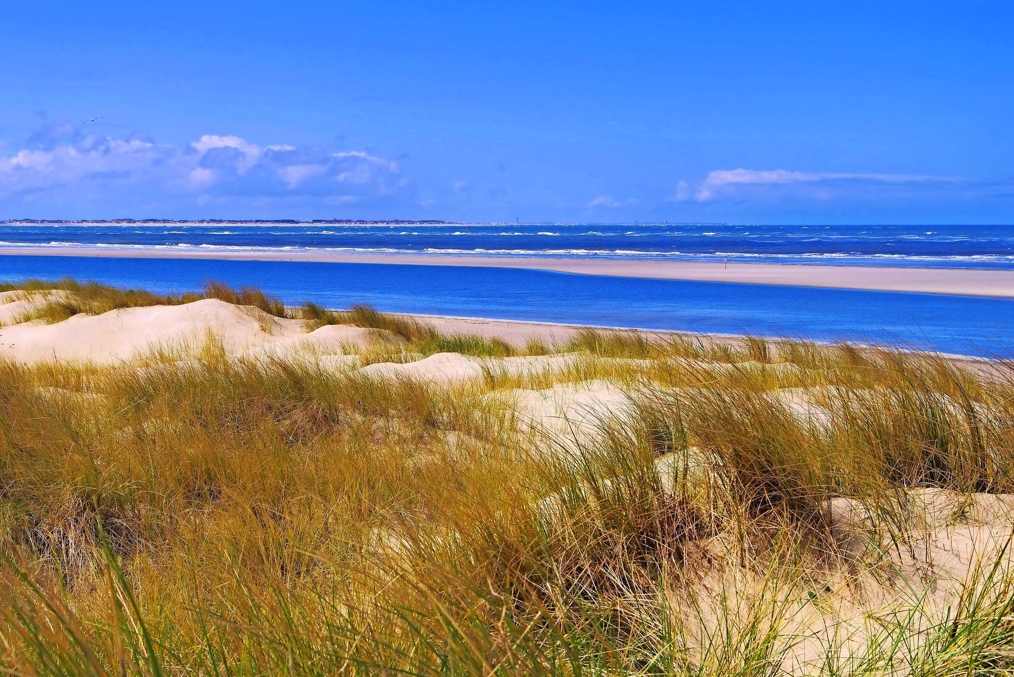 Sanddüne auf der Insel Langeoog Bild