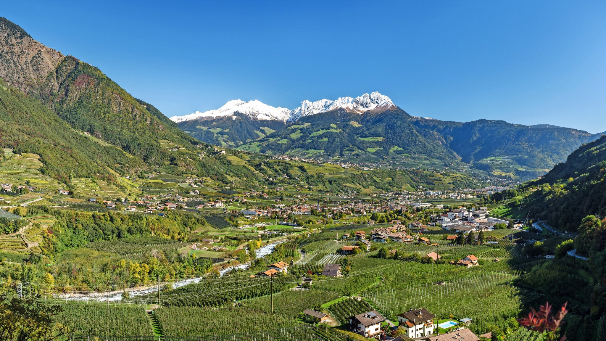 Blick auf Meran/Etschtal Bild
