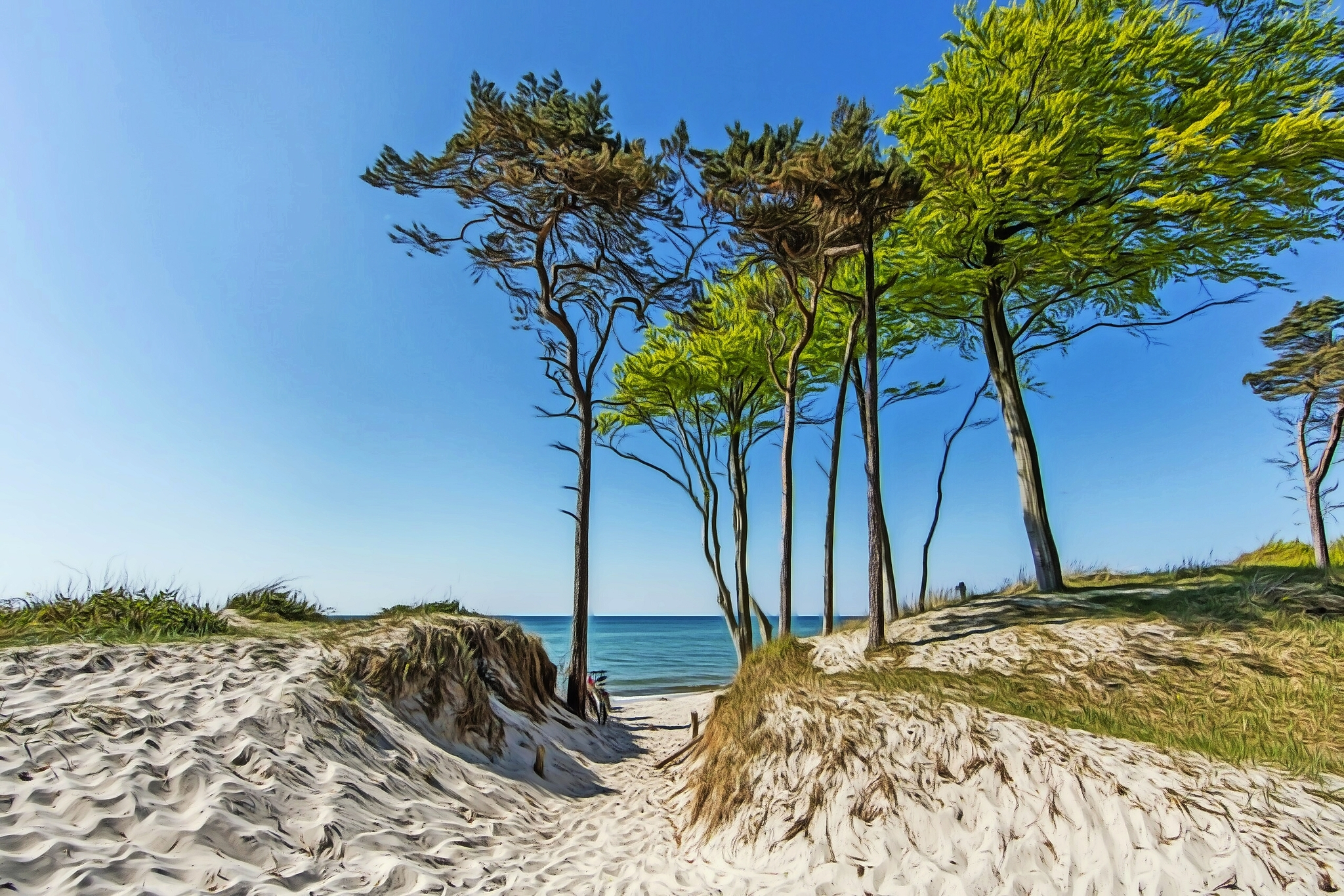 Wilde Strände an der Ostsee Bild