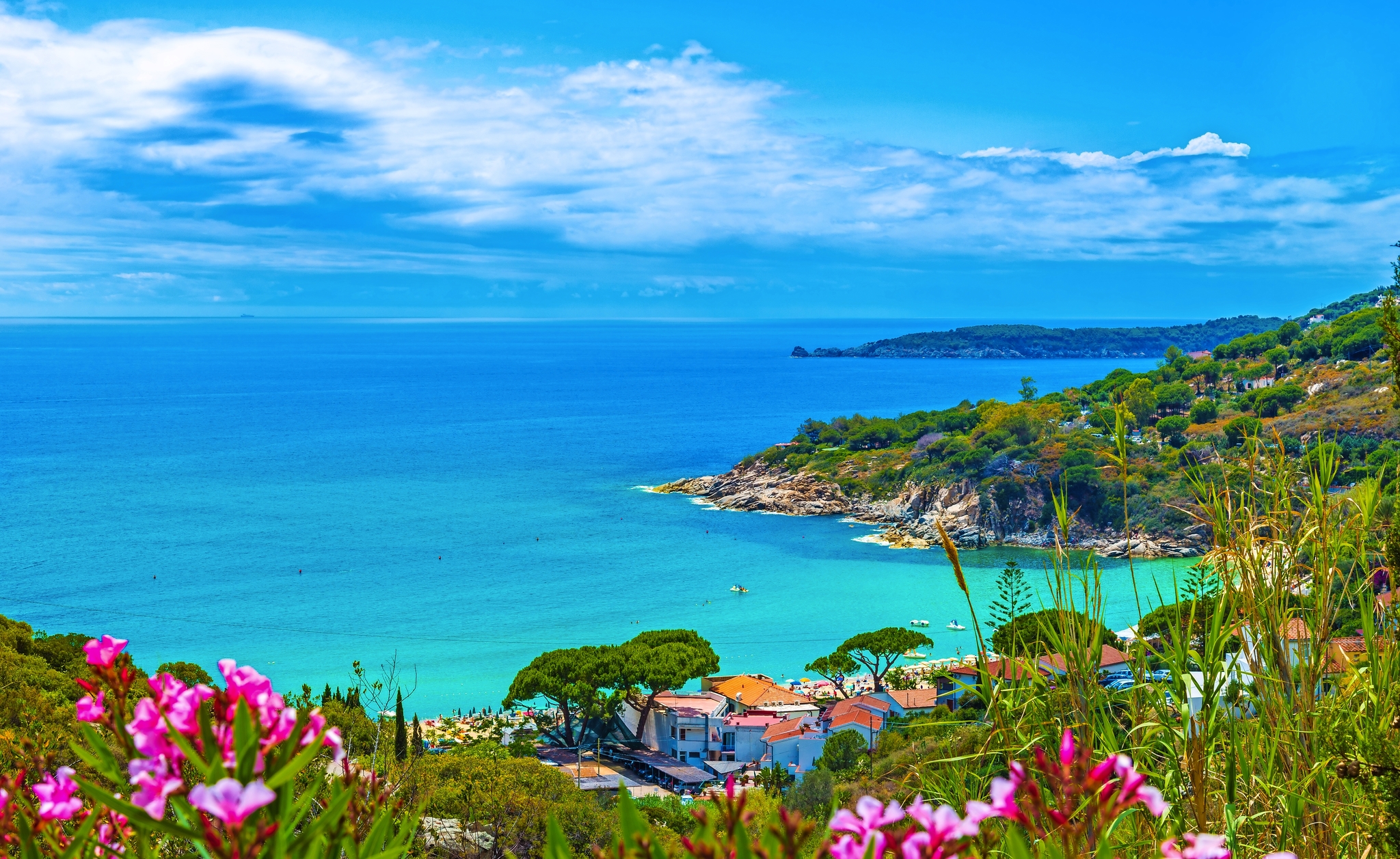 Panoramablick auf der Insel Elba Bild