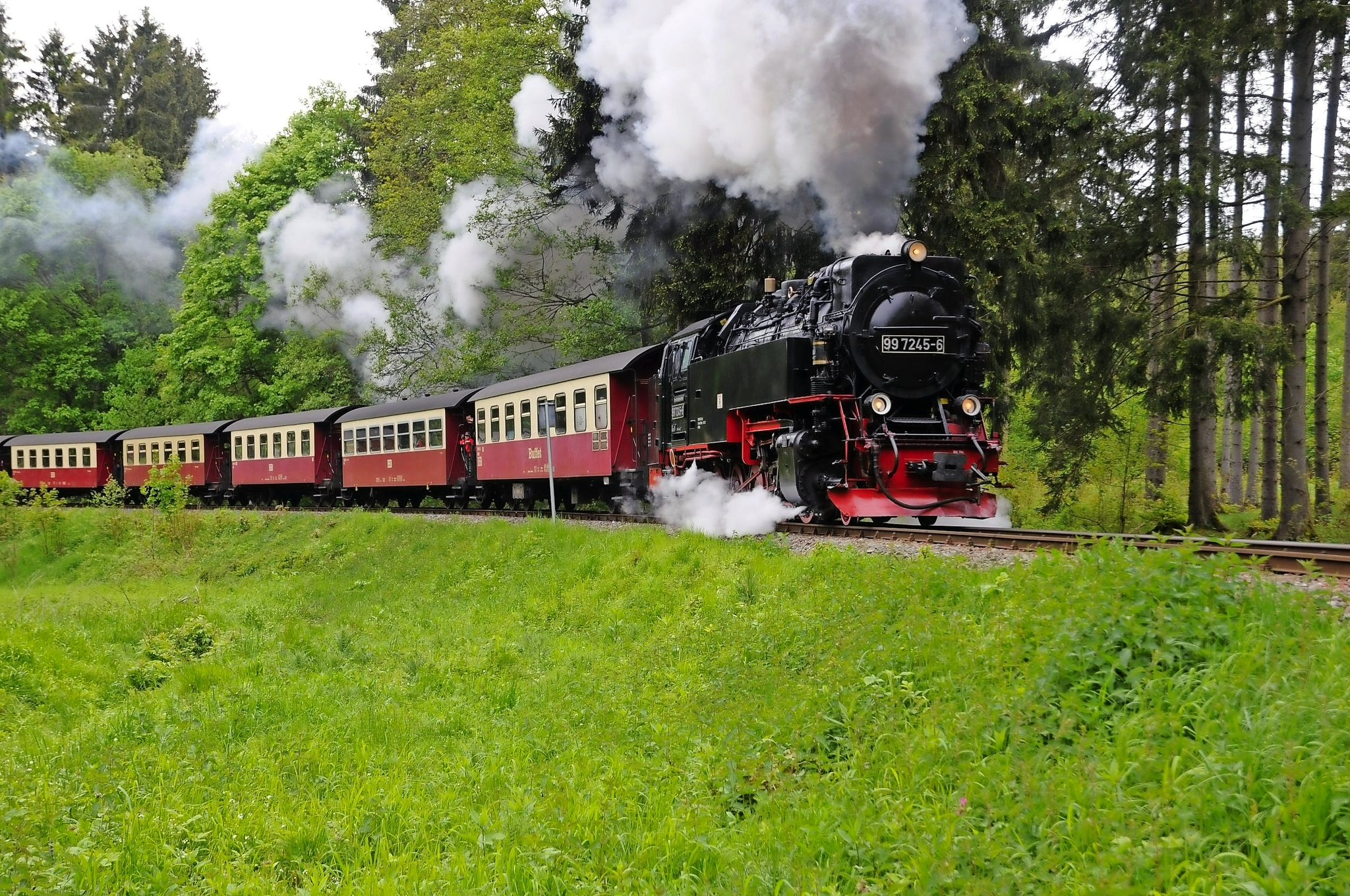Molli Dampfbahn - Ostseeküste Bild