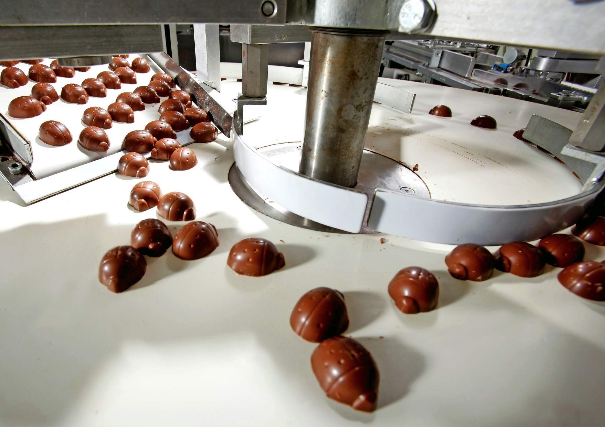 Die Schokoladenkäfer auf Ihrem Weg durch die Fabrik Bild