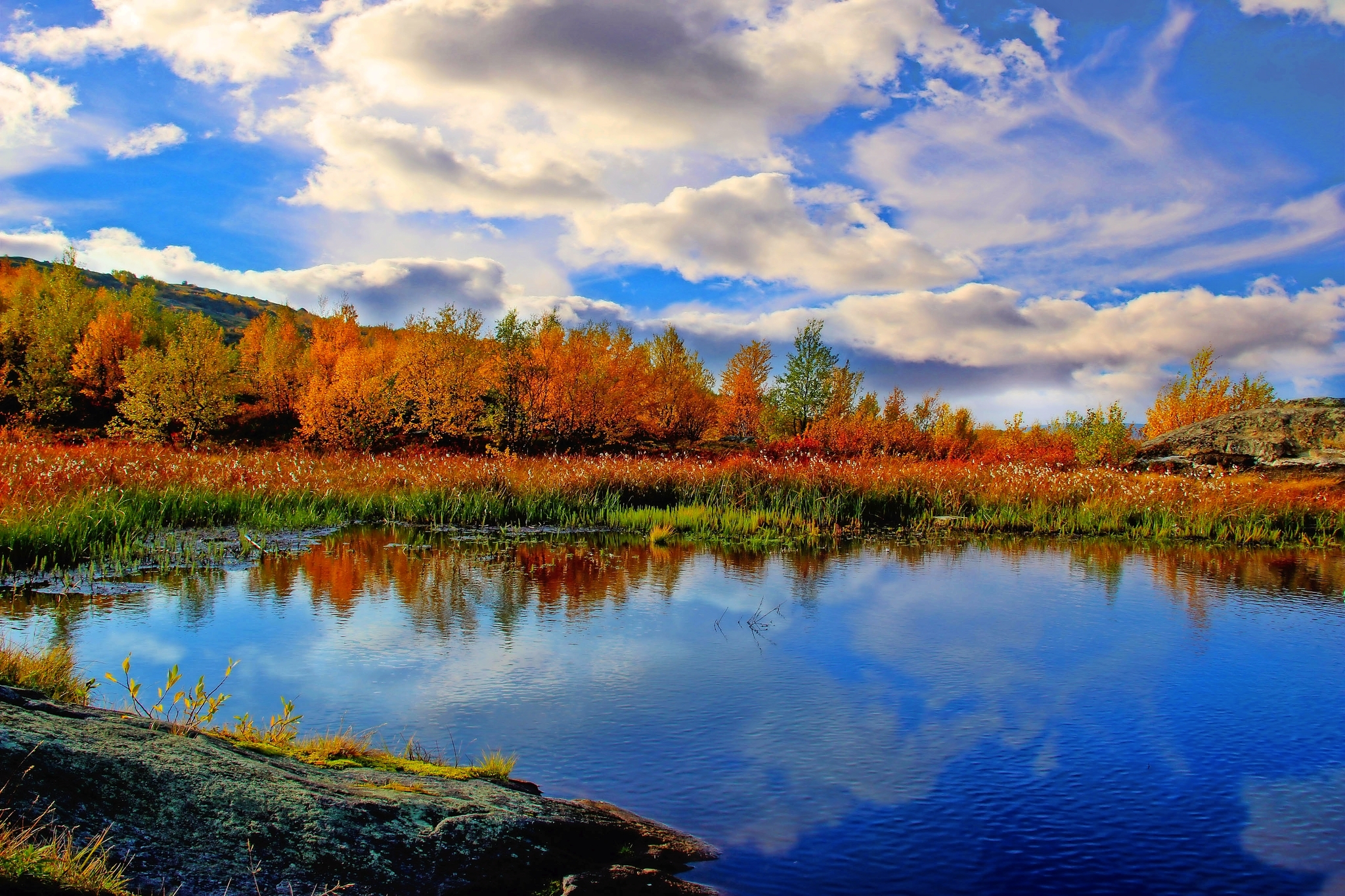 Goldener Herbst in Norwegen Bild