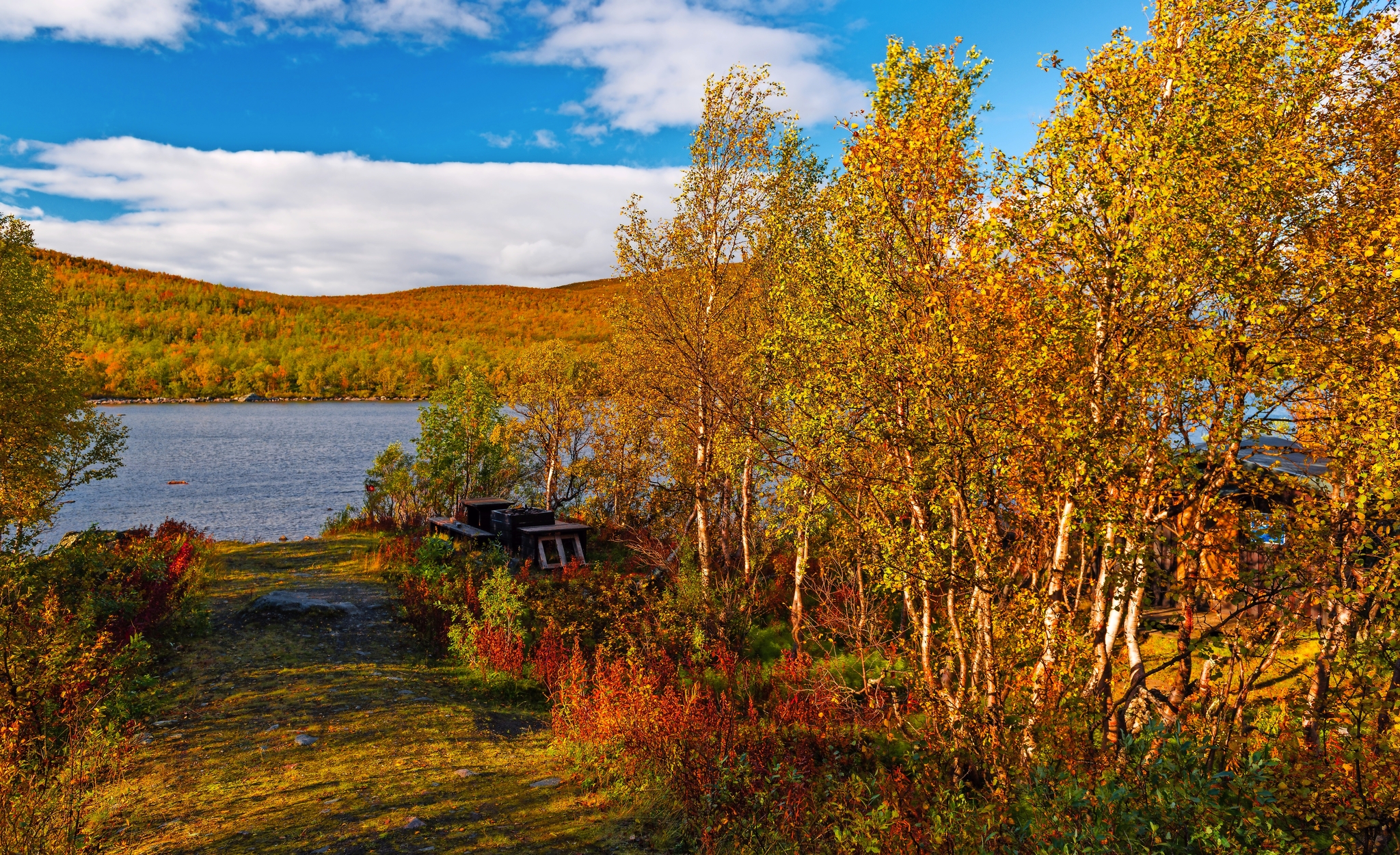 Goldener Herbst in Norwegen Bild