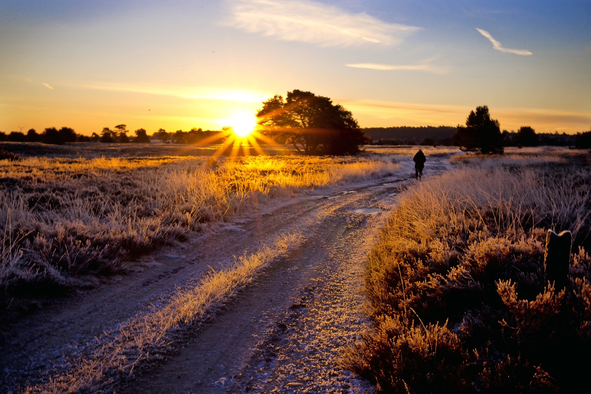 Lüneburger Heide Bild