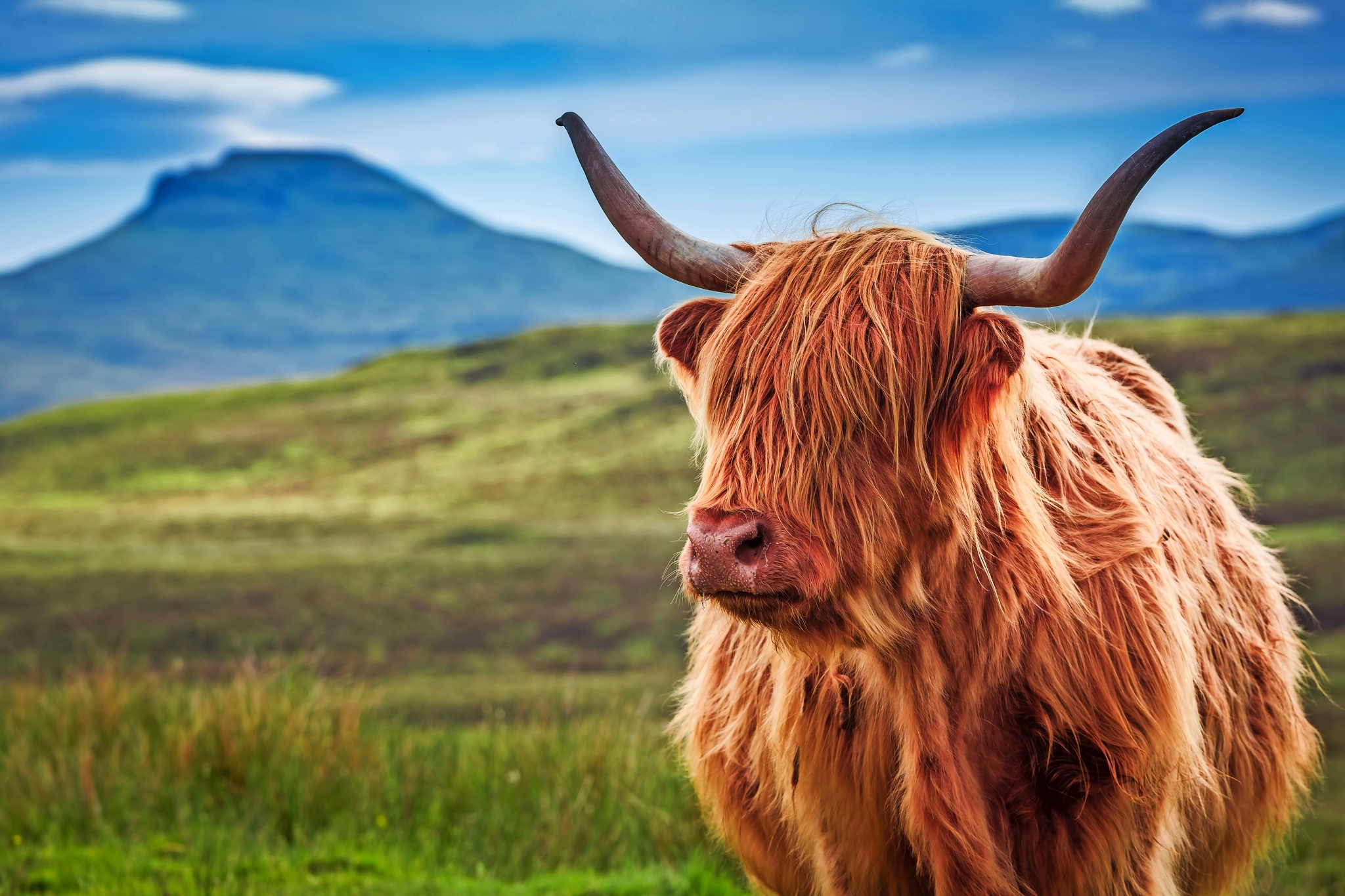 Isle of Skye - Hebriden Bild