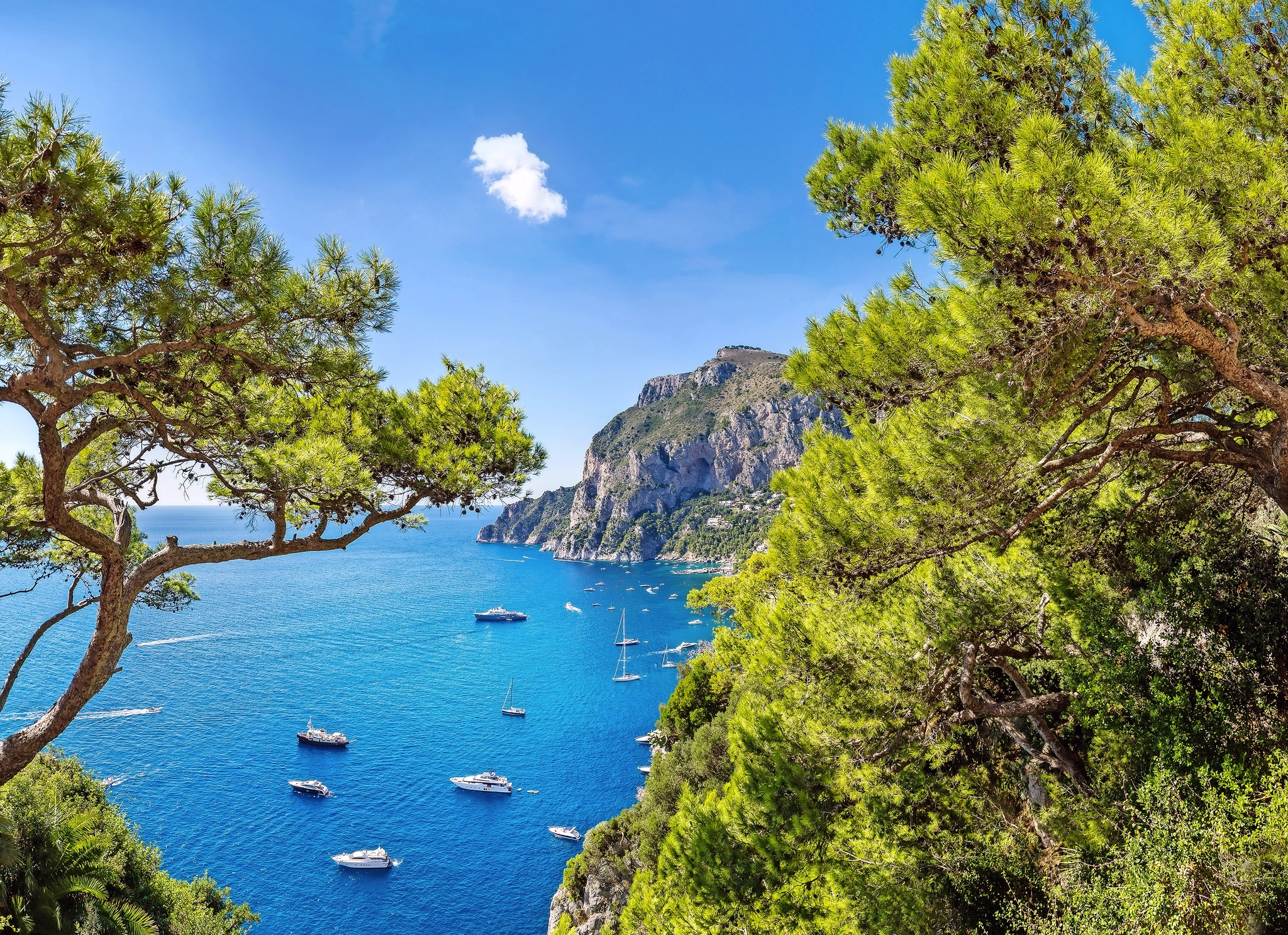 Küste mit Booten, Felsen und Pinien im Vordergrund bei klarem, blauem Himmel.