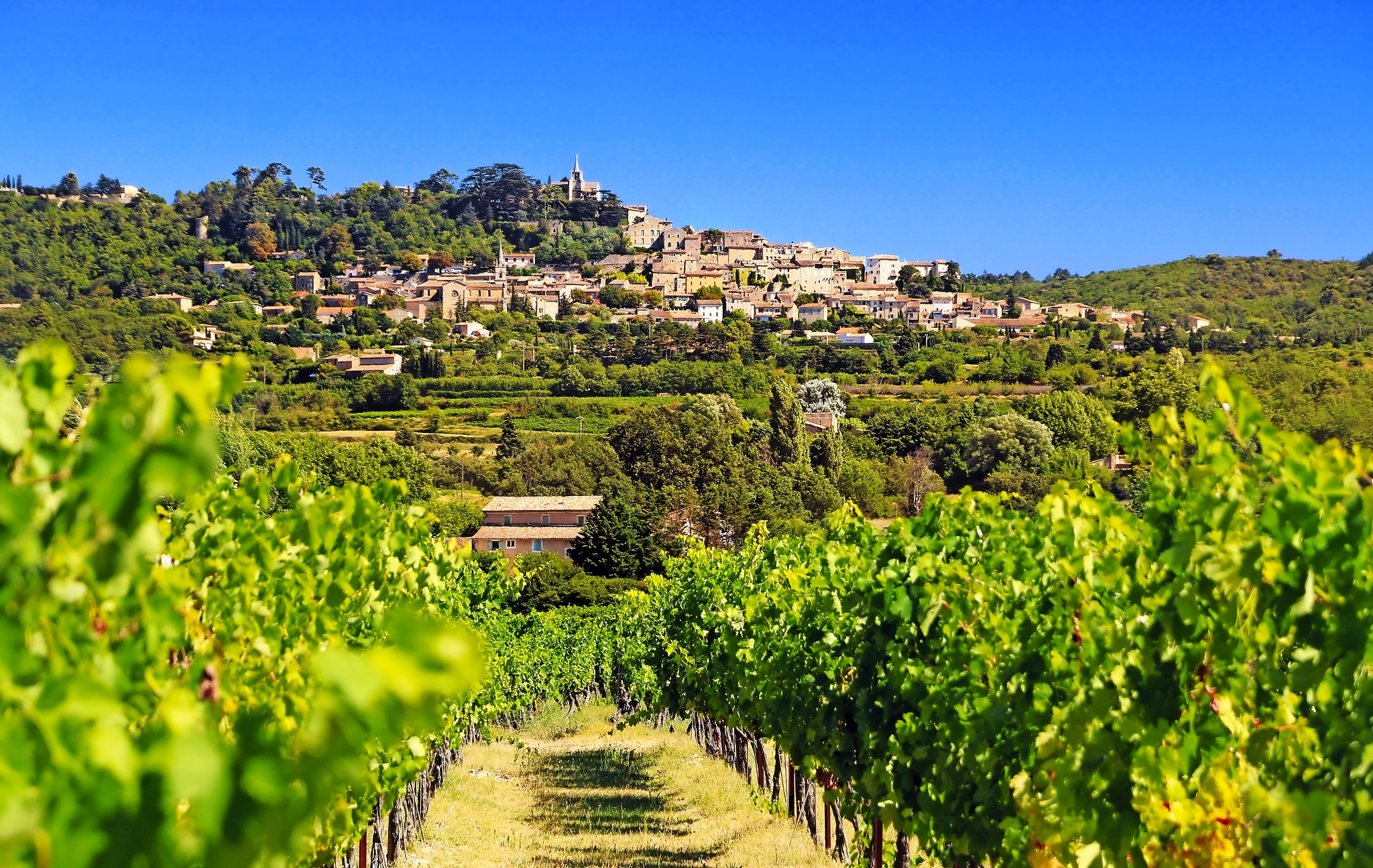 Bonnieux in Lubéron Bild