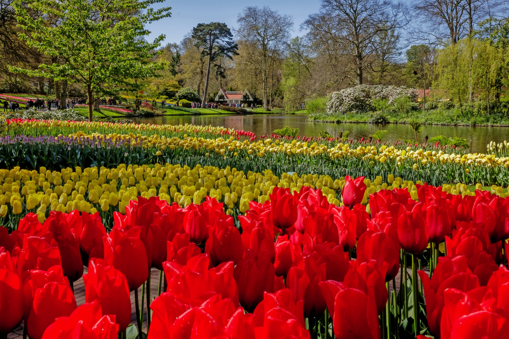 Keukenhof Bild