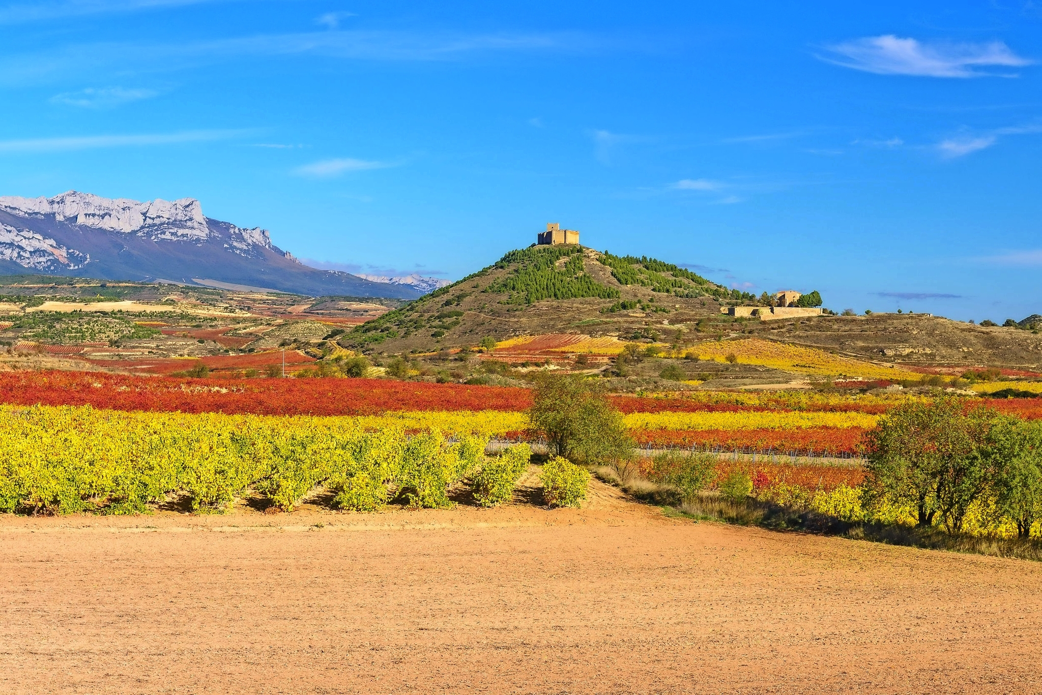 Unterwegs im Gebiet Ribera del Duero Bild