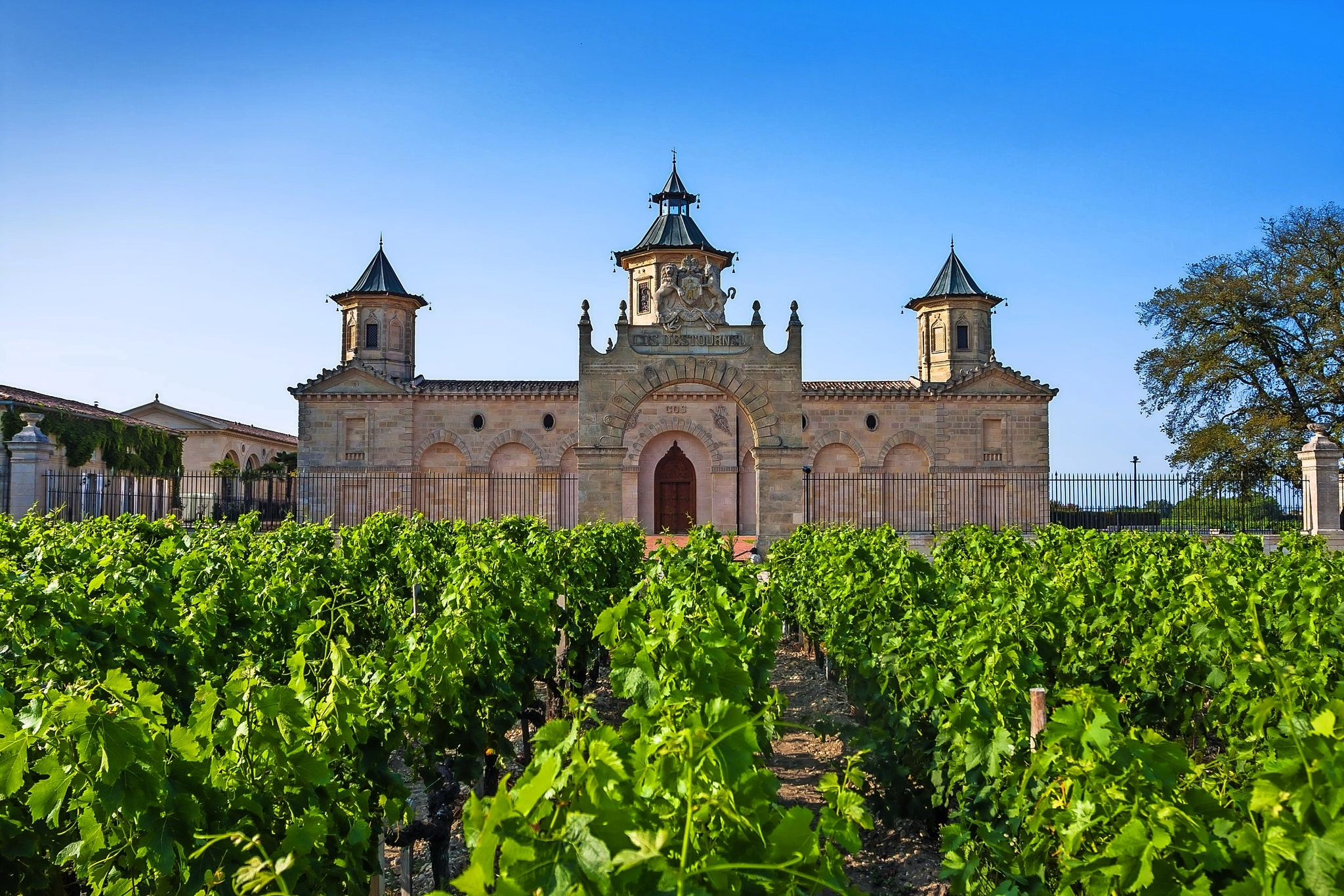 Château Clos d'Estournel Bild