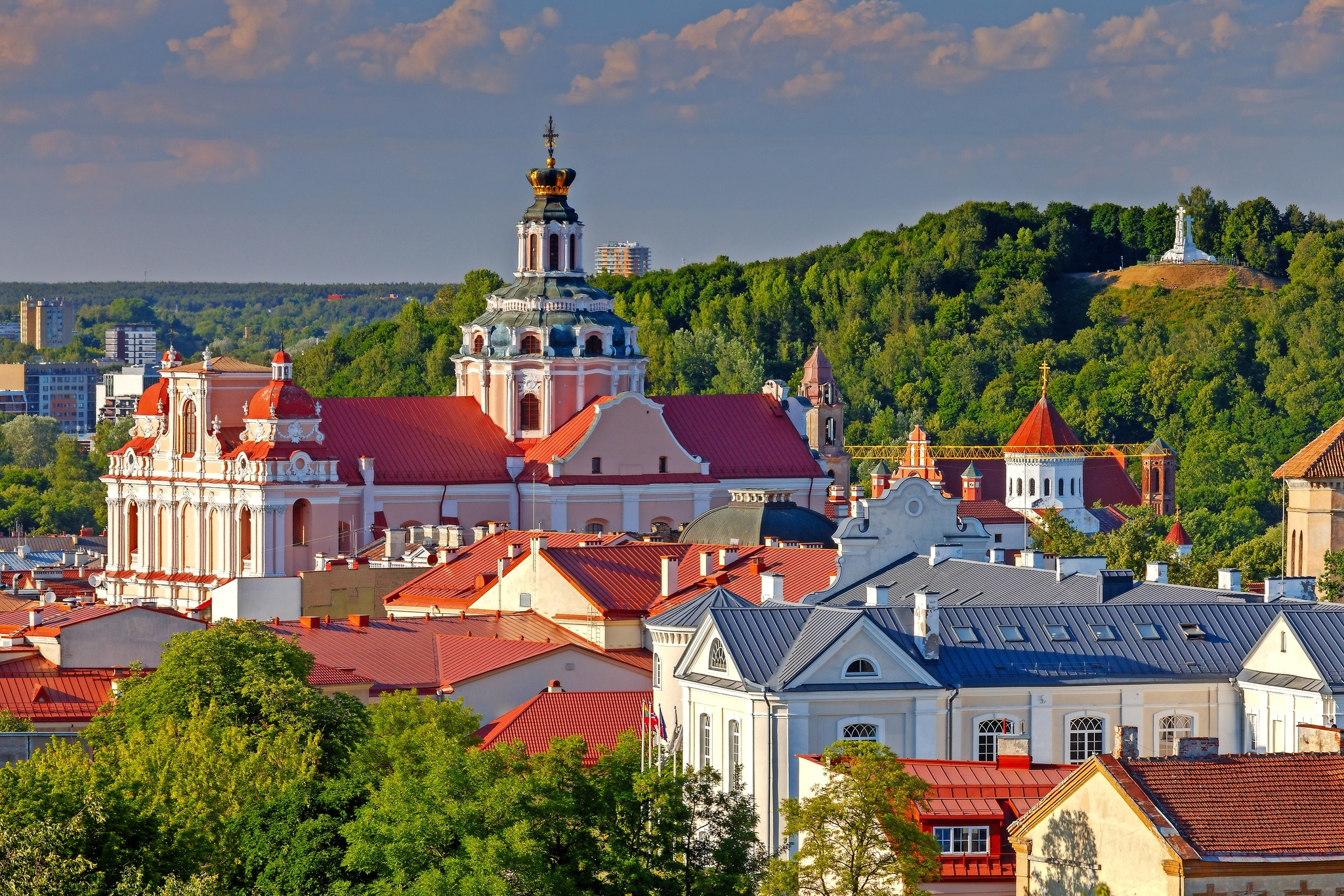Blick über Vilnius Bild