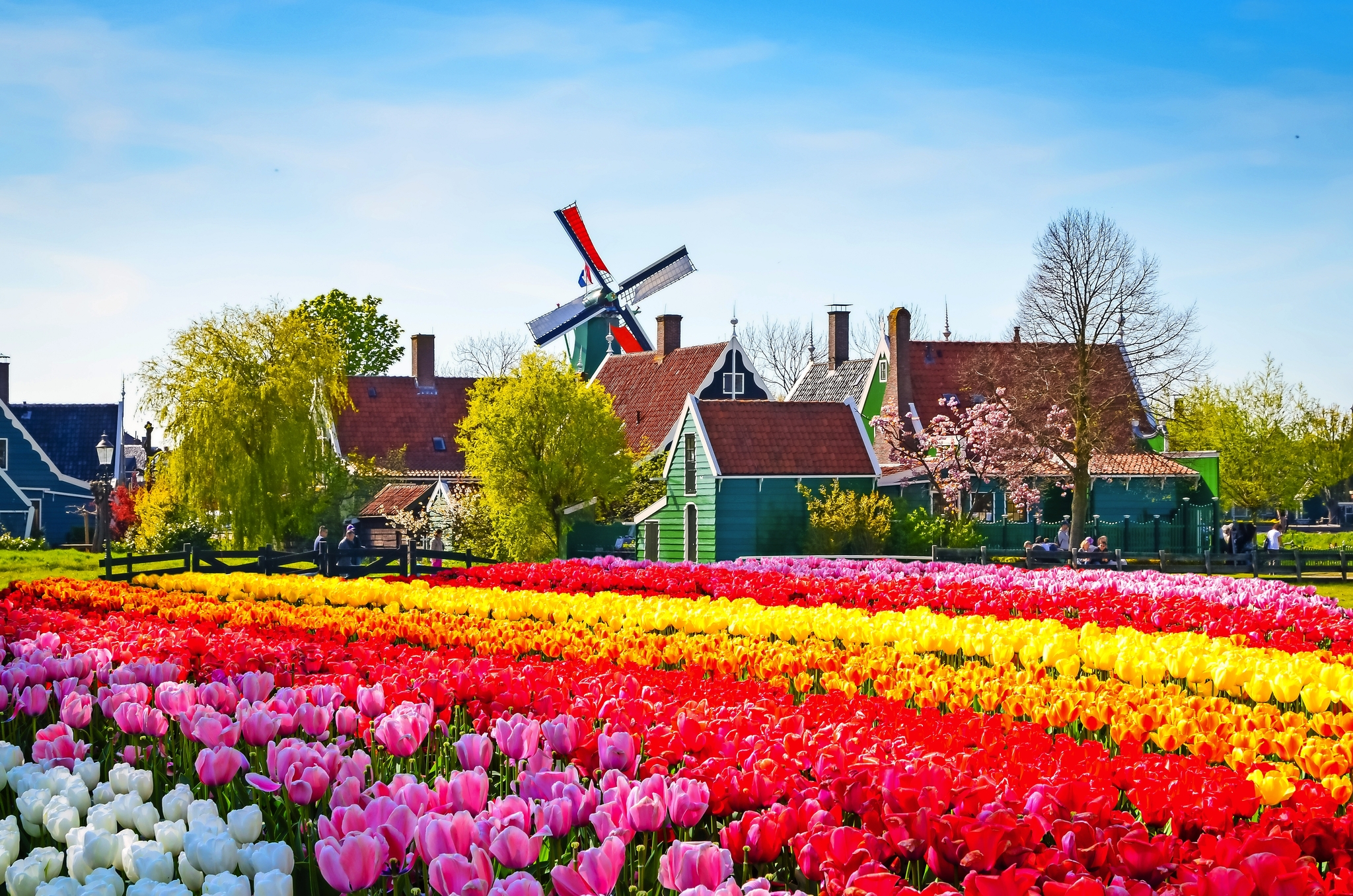 Keukenhof Bild