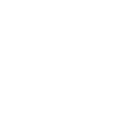 Whatsapp Icon